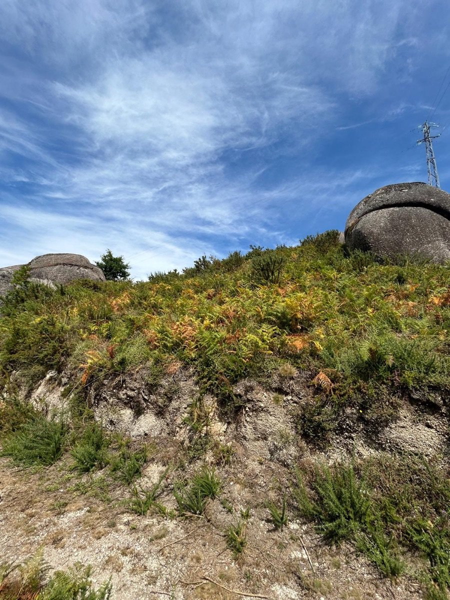 Granite boulders and ferns on the upper land