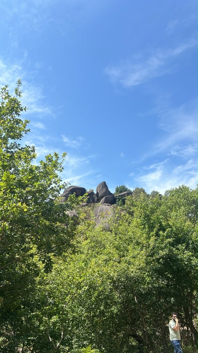 Granite outcrop seen from below, among oak trees, on the upper land