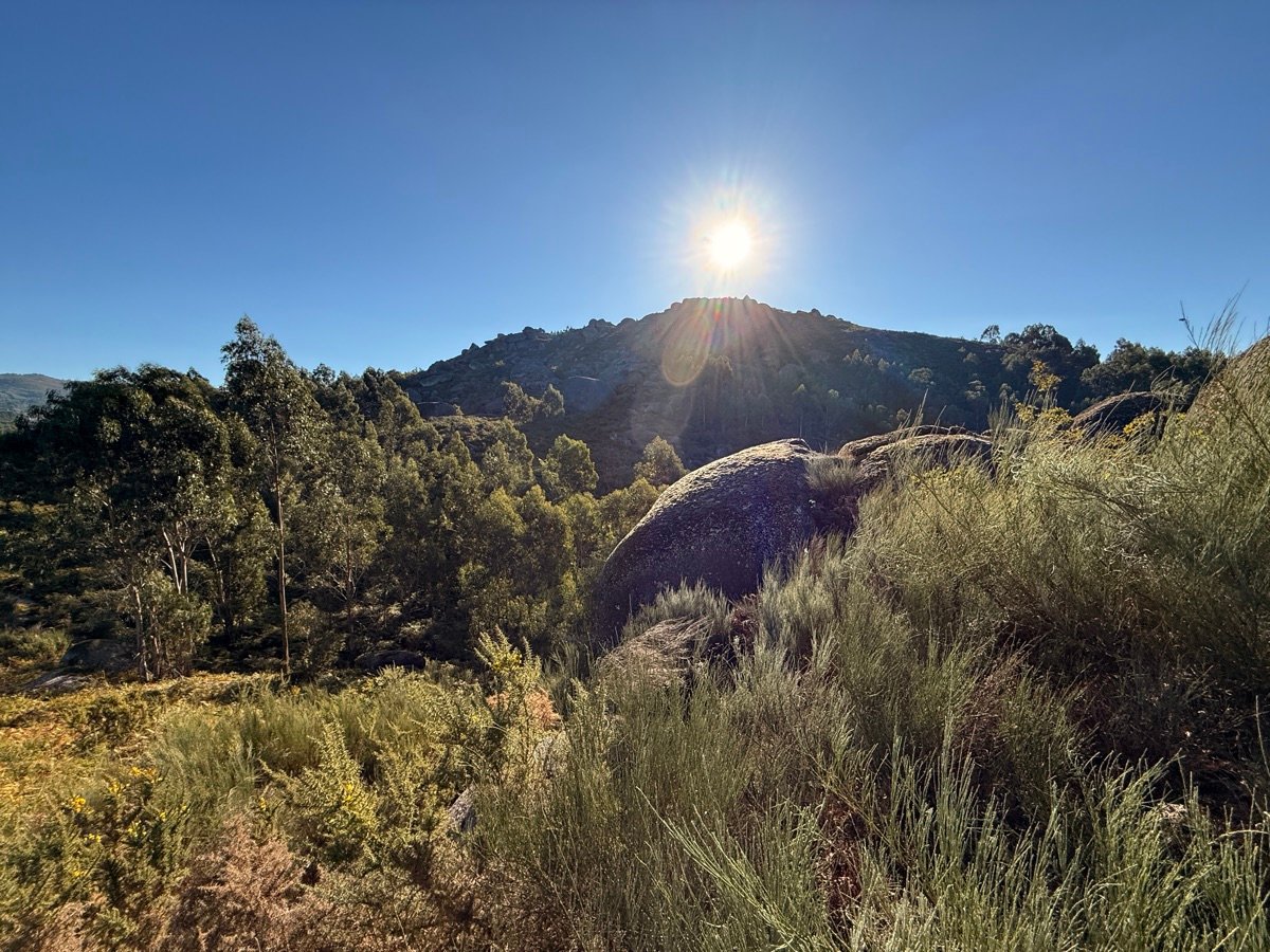 Granite outcrop at dusk, on the property