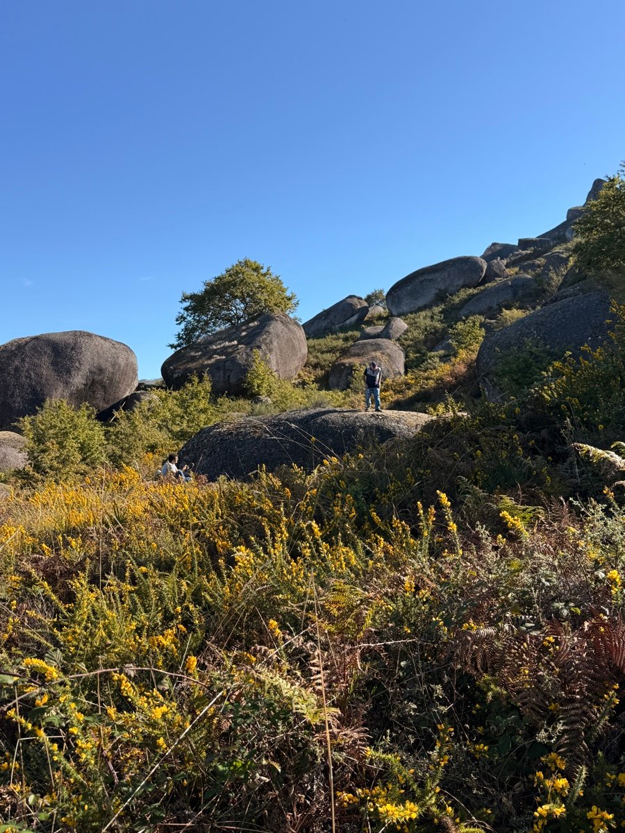 Granite formations on the property