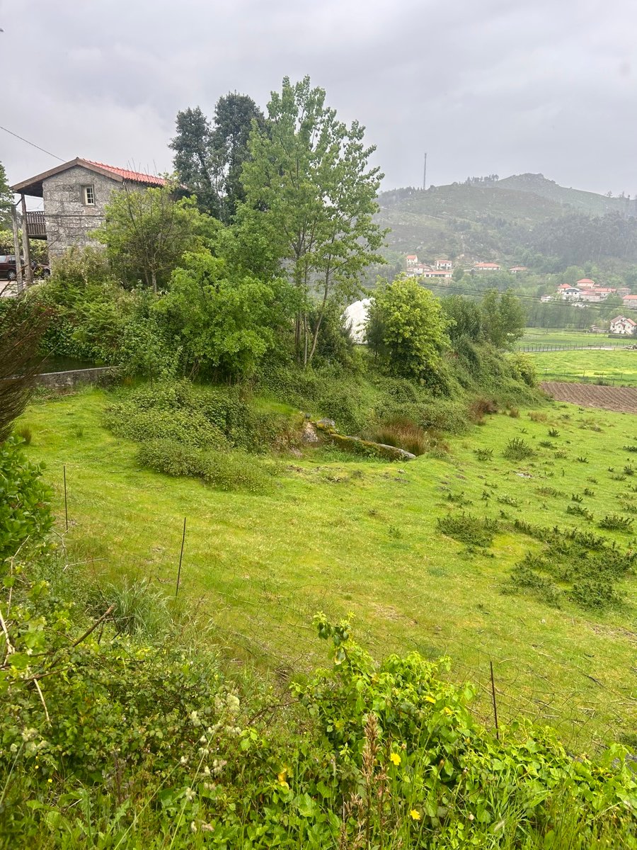 Field next to traditional granite houses, in Rossas